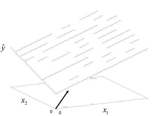 File:Doe9.1.png
